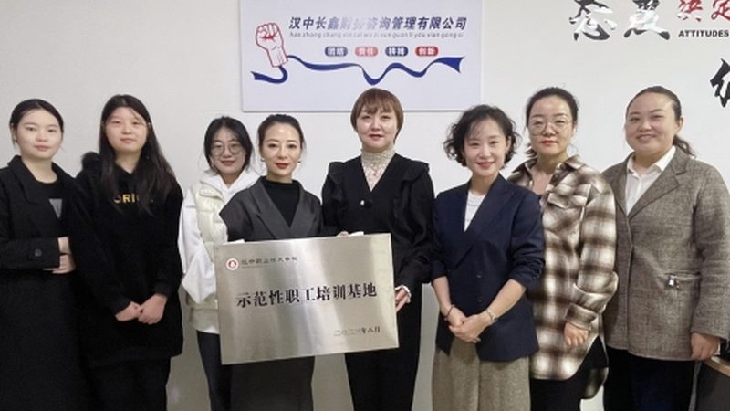医疗器械质量管理体系咨询：ISO9001与咨询服务的区别解析